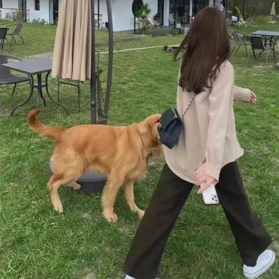 反同运动的前世今生